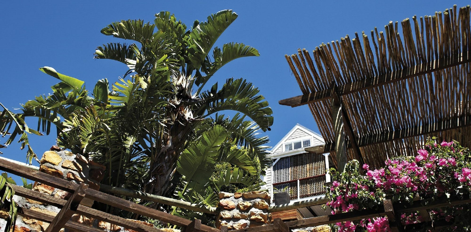 African Violet Guest Suites Noordhoek Exteriör bild