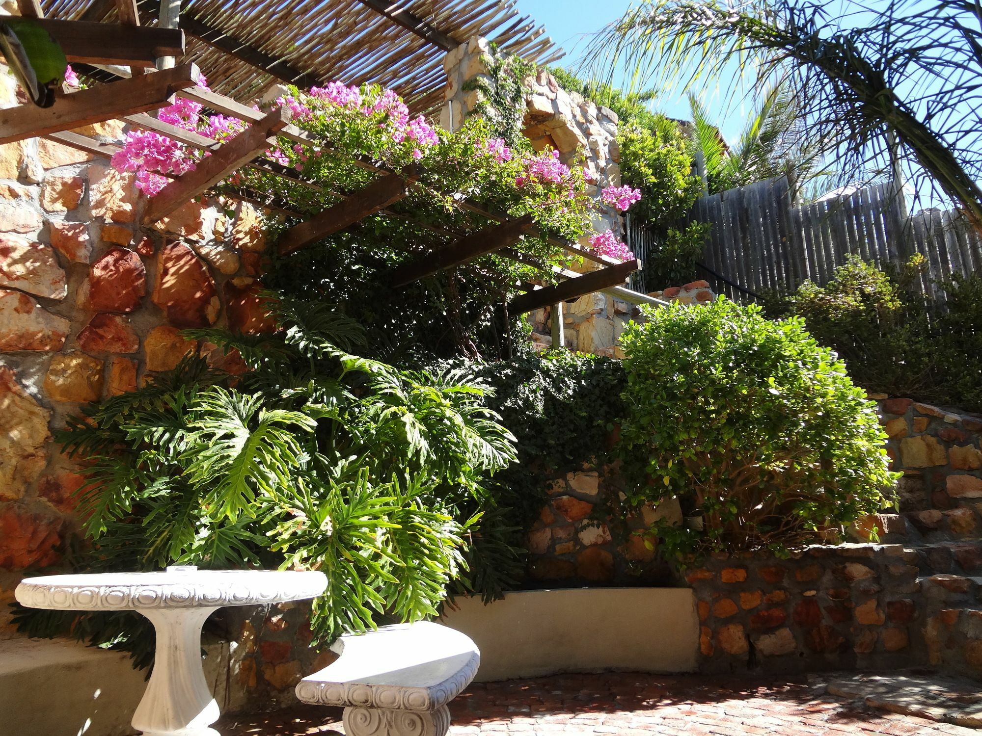 African Violet Guest Suites Noordhoek Exteriör bild