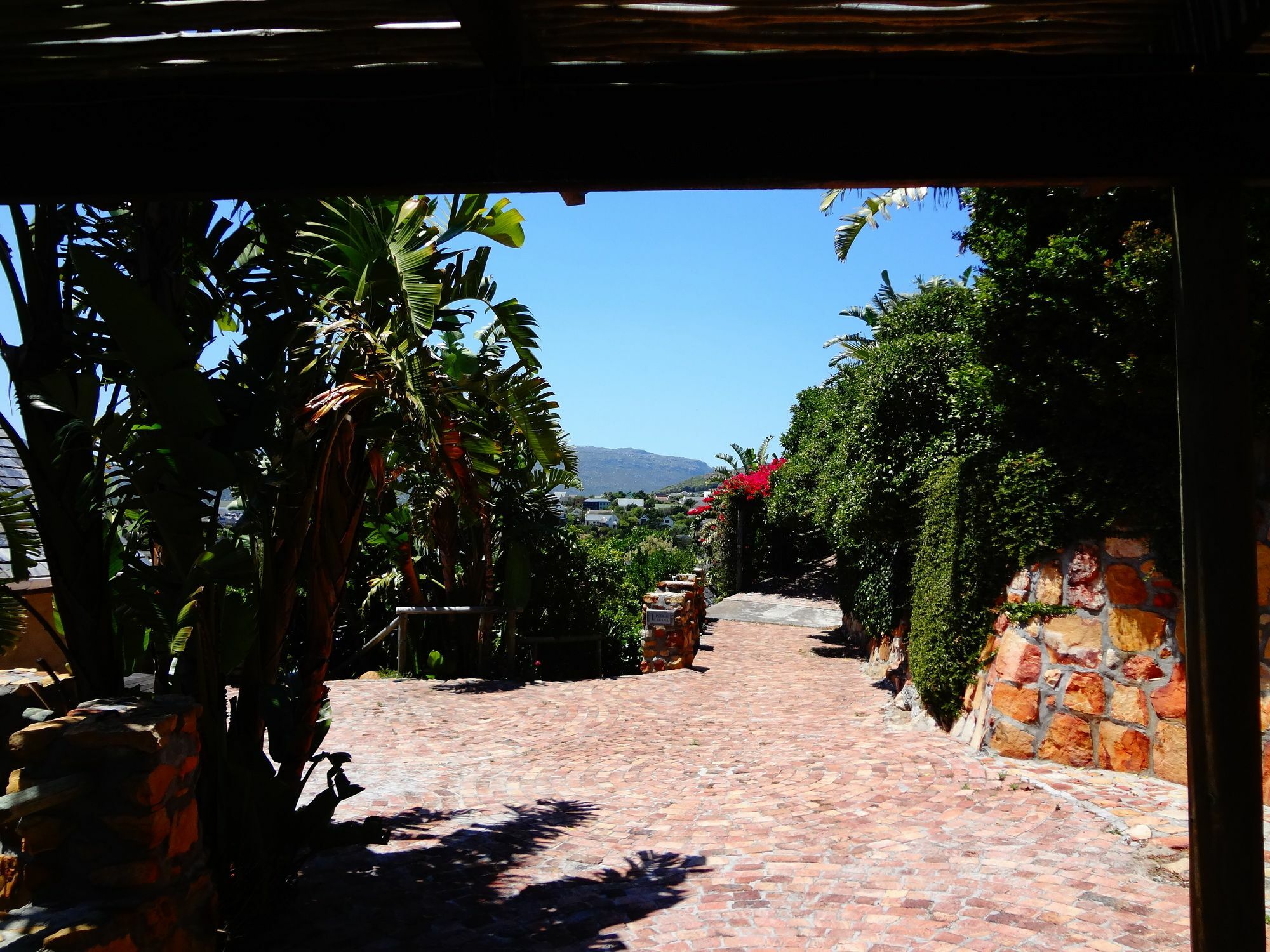 African Violet Guest Suites Noordhoek Exteriör bild